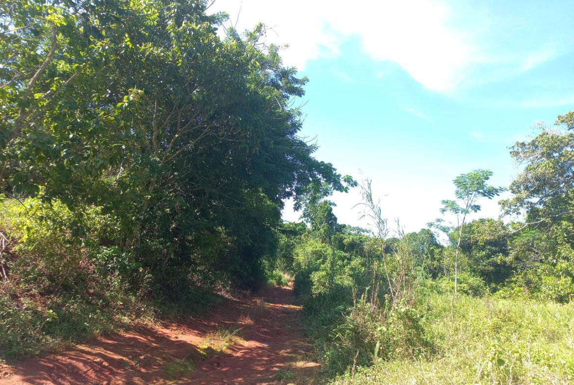 Sixth image of Lilyfield in Bamboo, St. Ann, Jamaica - property is For Sale