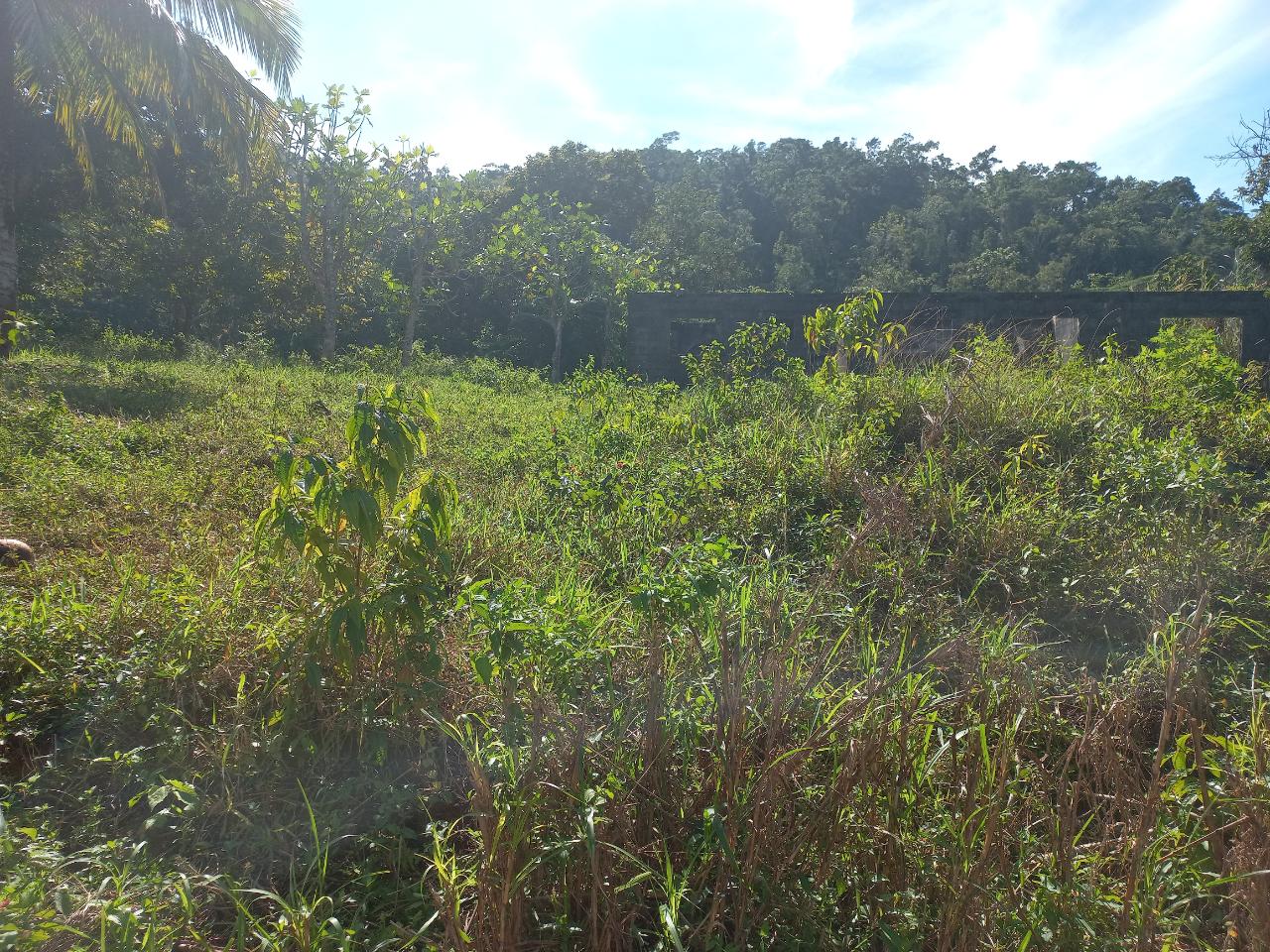 Unfinished-3-Bedroom-House-for-Sale-in-Lilyfield-St.-Ann-Jamaica First image of Lilyfield in Bamboo, St. Ann, Jamaica - property is For Sale