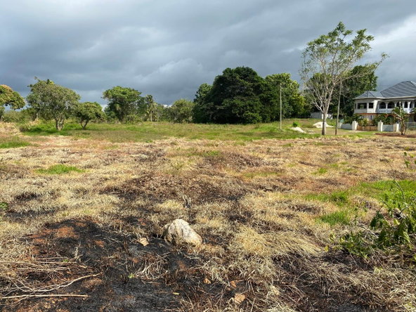 Thirteenth image of Lot 1 Retirement, St. Elizabet in Retirement, St. Elizabeth, Jamaica - property is For Sale