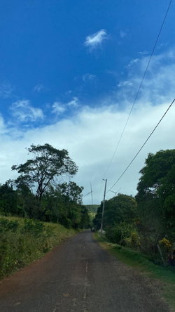Third image of Lot 1 Retirement, St. Elizabet in Retirement, St. Elizabeth, Jamaica - property is For Sale