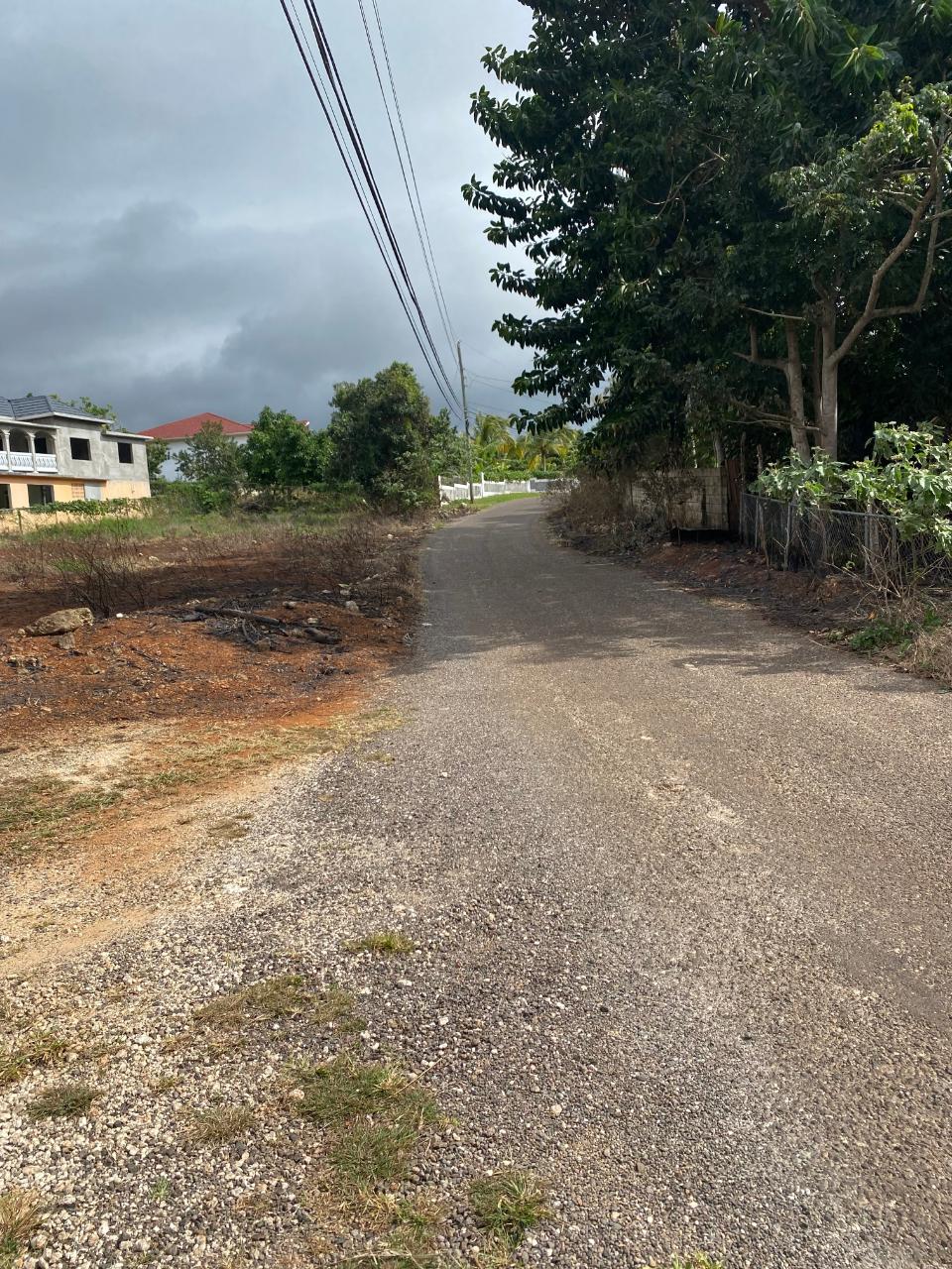 Fifth image of Lot 1 Retirement, St. Elizabet in Retirement, St. Elizabeth, Jamaica - property is For Sale
