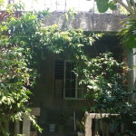 First image of 165 Mansfield Heights, Ocho in Ocho Rios, St. Ann, Jamaica - property is For Sale