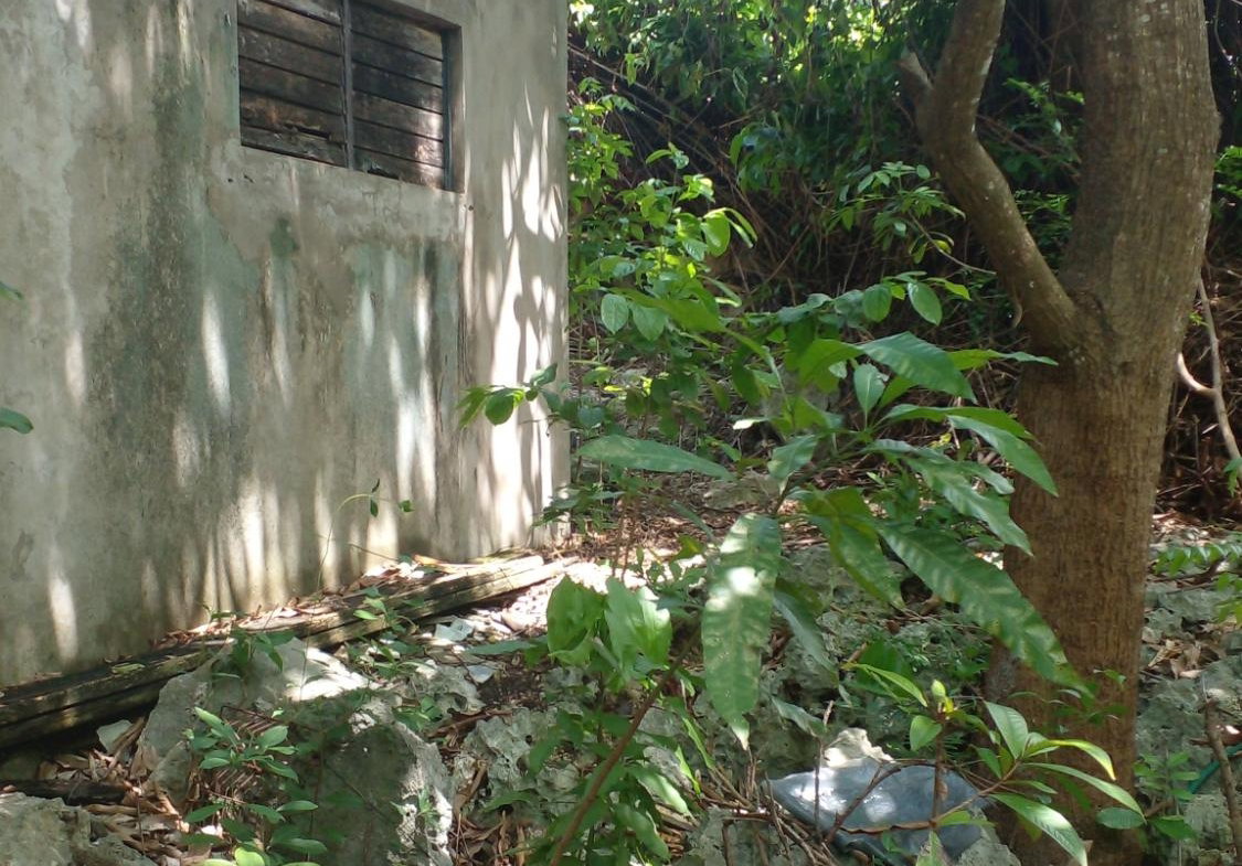 Third image of 165 Mansfield Heights, Ocho in Ocho Rios, St. Ann, Jamaica - property is For Sale