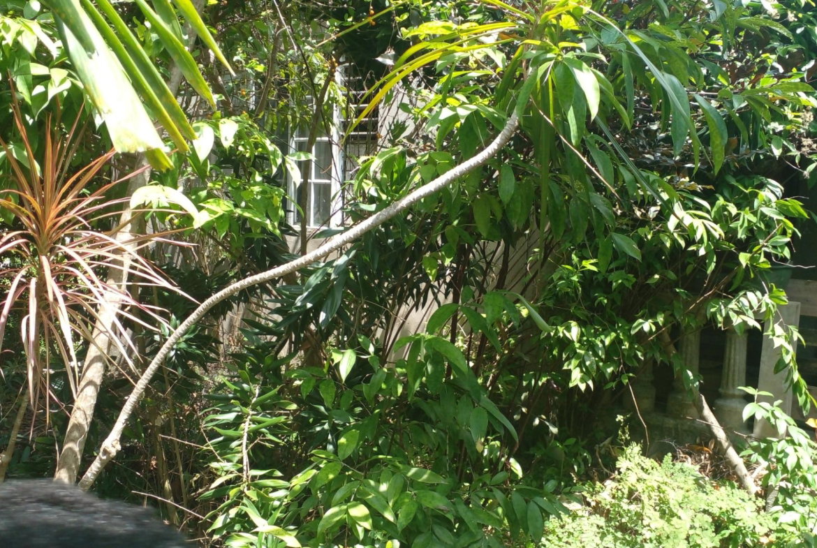 Eighth image of 165 Mansfield Heights, Ocho in Ocho Rios, St. Ann, Jamaica - property is For Sale