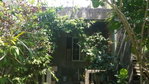 First image of 165 Mansfield Heights, Ocho in Ocho Rios, St. Ann, Jamaica - property is For Sale