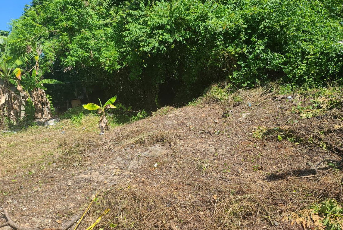 Seventh image of 99 Boscobel Phase 1 in Boscobel, St. Mary, Jamaica - property is For Sale