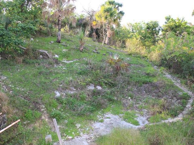 Eleventh image of Lot-358 Culloden, Whitehouse West in White House WD, Westmoreland, Jamaica - property is For Sale