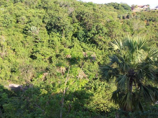 Twelfth image of Lot-358 Culloden, Whitehouse West in White House WD, Westmoreland, Jamaica - property is For Sale