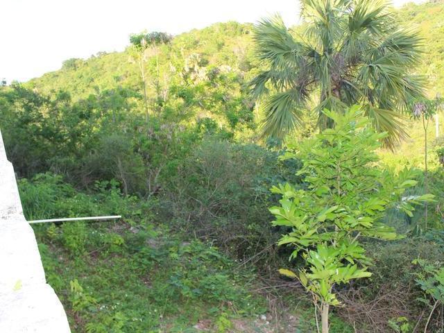 Thirteenth image of Lot-358 Culloden, Whitehouse West in White House WD, Westmoreland, Jamaica - property is For Sale
