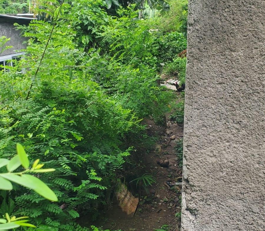 Fifth image of Rosend St. Mary in Rosend, St. Mary, Jamaica - property is For Sale