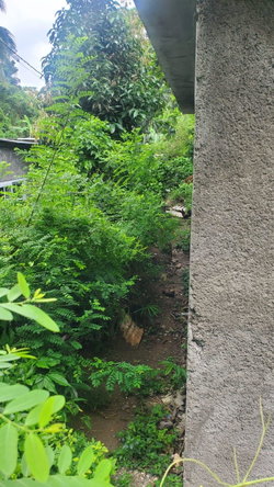 Fifth image of Rosend St. Mary in Rosend, St. Mary, Jamaica - property is For Sale