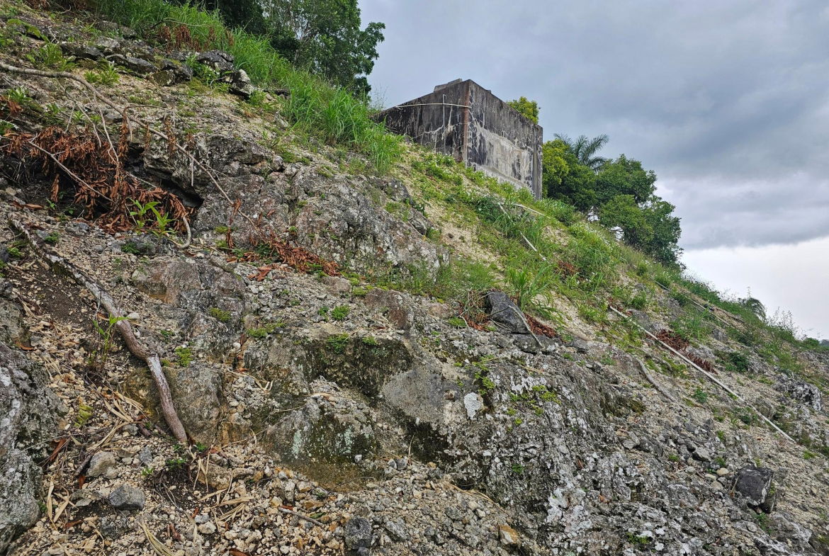 Sixth image of Anchovy St. James in Anchovy, St. James, Jamaica - property is For Sale