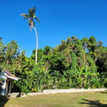First image of Windsor And Brighton, St. in Retreat, St. Mary, Jamaica - property is For Sale