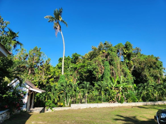 First image of Windsor And Brighton, St. in Retreat, St. Mary, Jamaica - property is For Sale