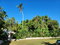 First image of Windsor And Brighton, St. in Retreat, St. Mary, Jamaica - property is For Sale