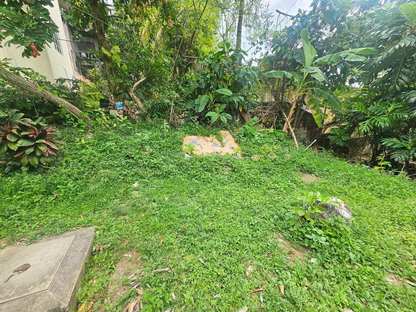 Unique-Multi-Family-Property-for-Sale-in-Pitfour-Jamaica Seventh image of 109 Sunrise Drive in Montego Hills, St. James, Jamaica - property is For Sale