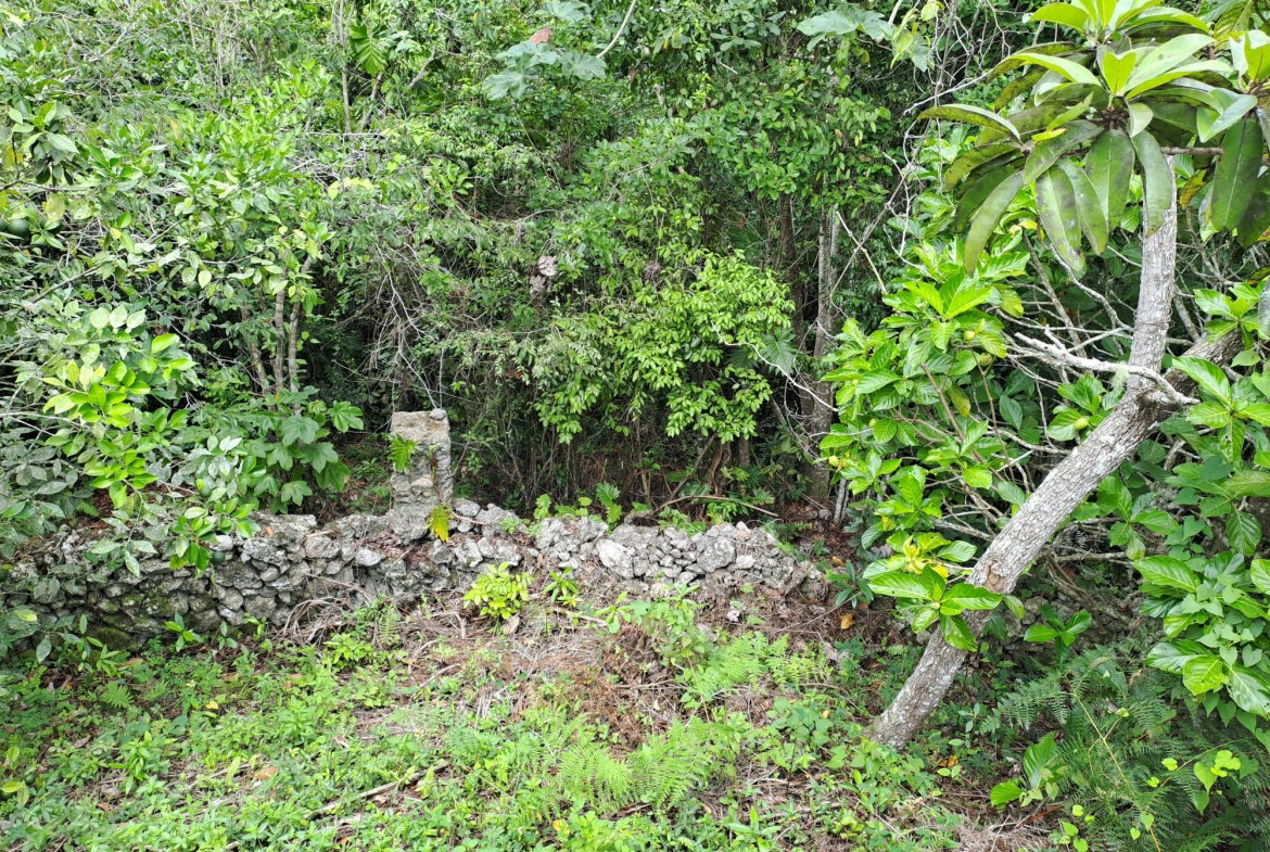 Seventh image of Lot 21 Santa Marie, Rock Hall in Sligoville, St. Catherine, Jamaica - property is For Sale