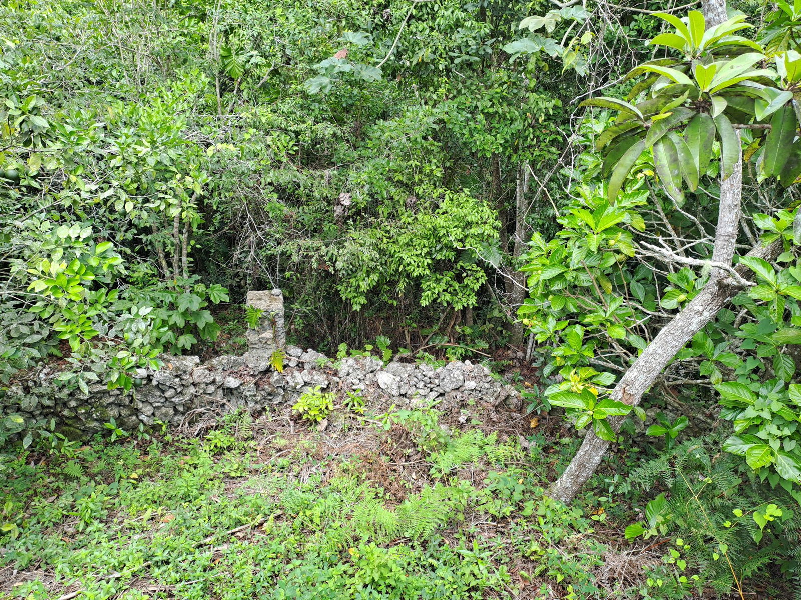 Seventh image of Lot 21 Santa Marie, Rock Hall in Sligoville, St. Catherine, Jamaica - property is For Sale