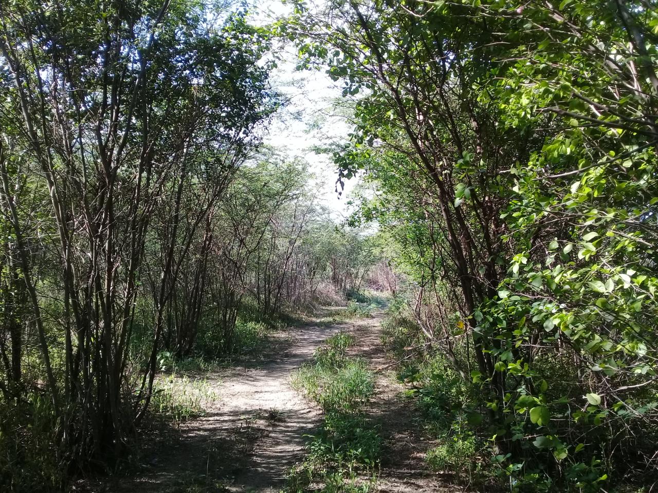 Third image of Fairfield Road, Ebony Pen in Spanish Town, St. Catherine, Jamaica - property is For Sale