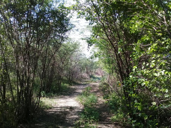 Third image of Fairfield Road, Ebony Pen in Spanish Town, St. Catherine, Jamaica - property is For Sale