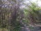 First image of Fairfield Road, Ebony Pen in Spanish Town, St. Catherine, Jamaica - property is For Sale