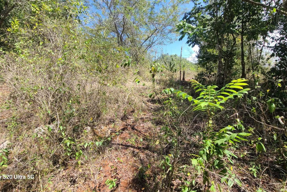 Second image of Barry And Lloyds in Guanaboa Vale, St. Catherine, Jamaica - property is For Sale