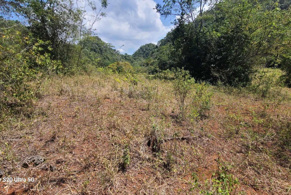 Third image of Barry And Lloyds in Guanaboa Vale, St. Catherine, Jamaica - property is For Sale
