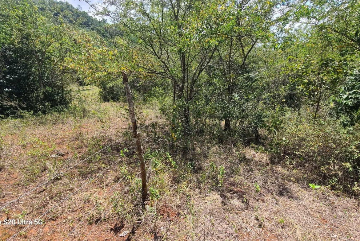 Fourth image of Barry And Lloyds in Guanaboa Vale, St. Catherine, Jamaica - property is For Sale