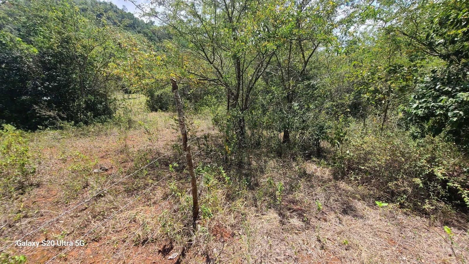 Fourth image of Barry And Lloyds in Guanaboa Vale, St. Catherine, Jamaica - property is For Sale