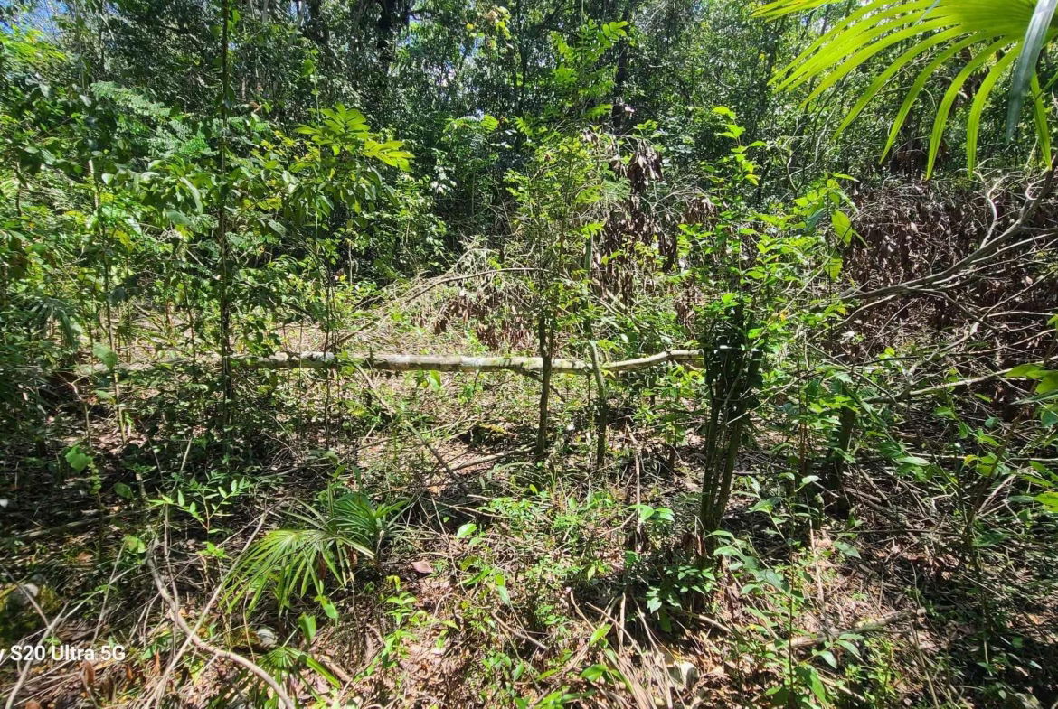 Fifth image of Barry And Lloyds in Guanaboa Vale, St. Catherine, Jamaica - property is For Sale
