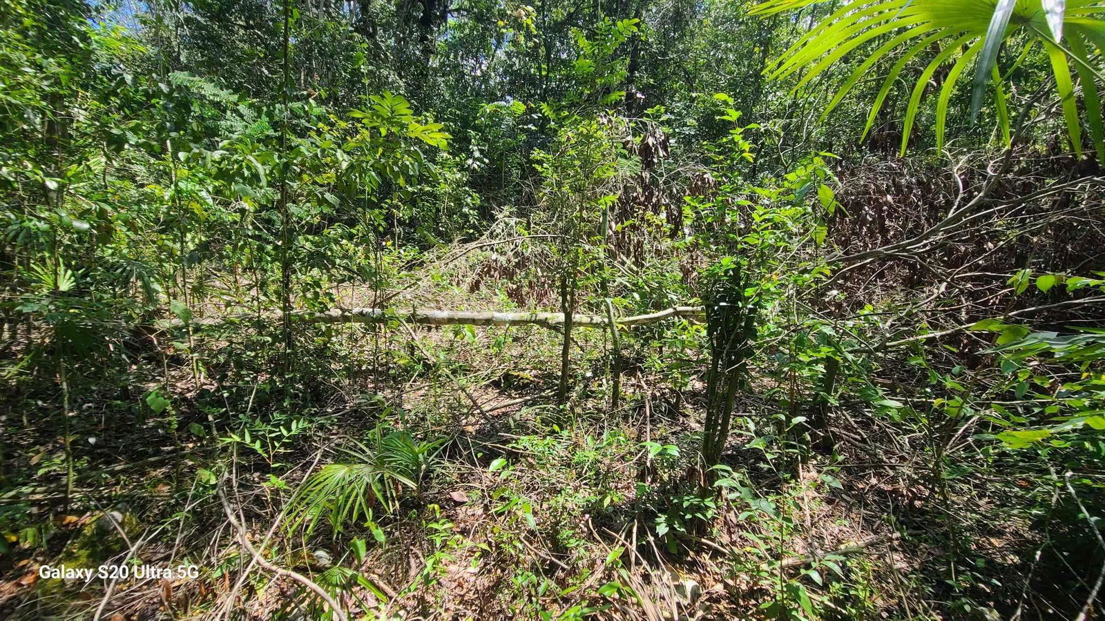 Fifth image of Barry And Lloyds in Guanaboa Vale, St. Catherine, Jamaica - property is For Sale