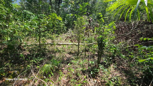 Fifth image of Barry And Lloyds in Guanaboa Vale, St. Catherine, Jamaica - property is For Sale
