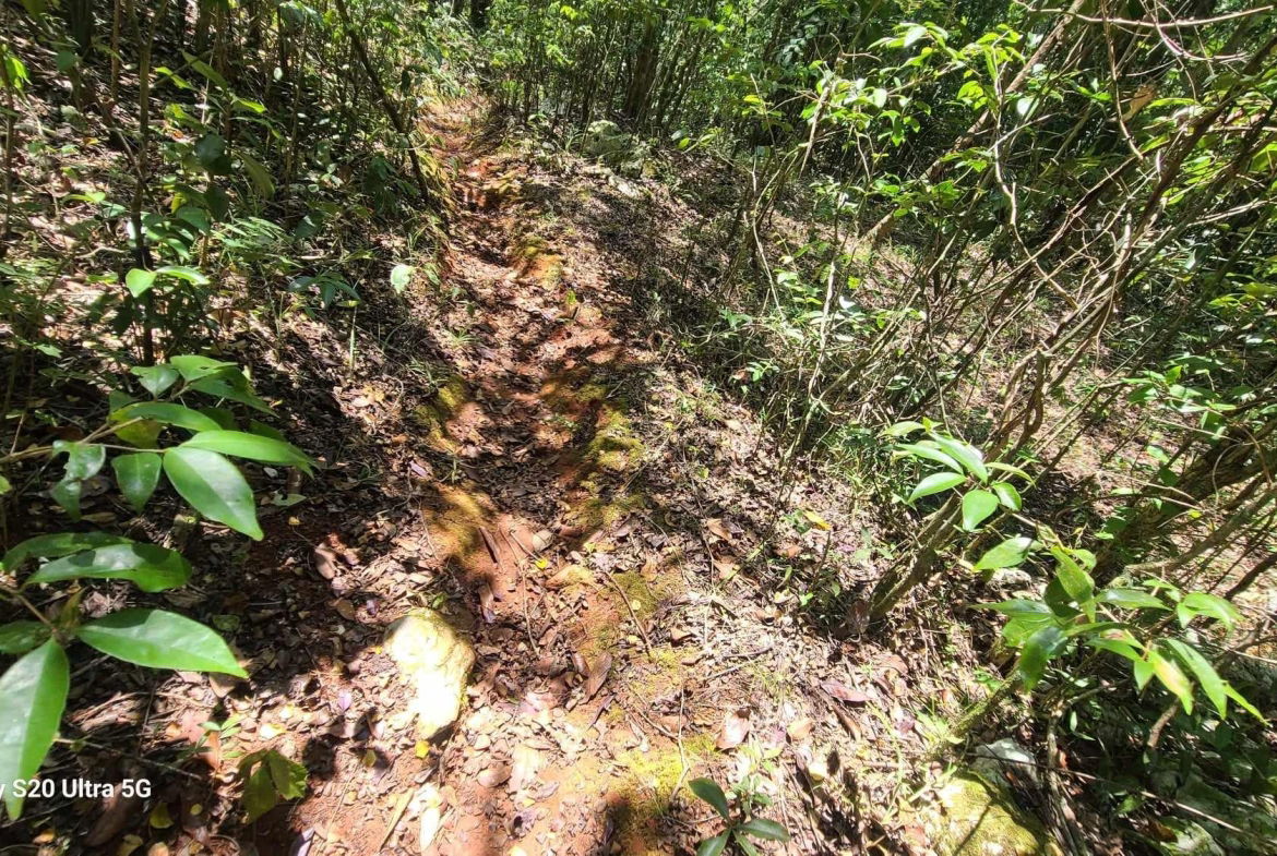 Sixth image of Barry And Lloyds in Guanaboa Vale, St. Catherine, Jamaica - property is For Sale