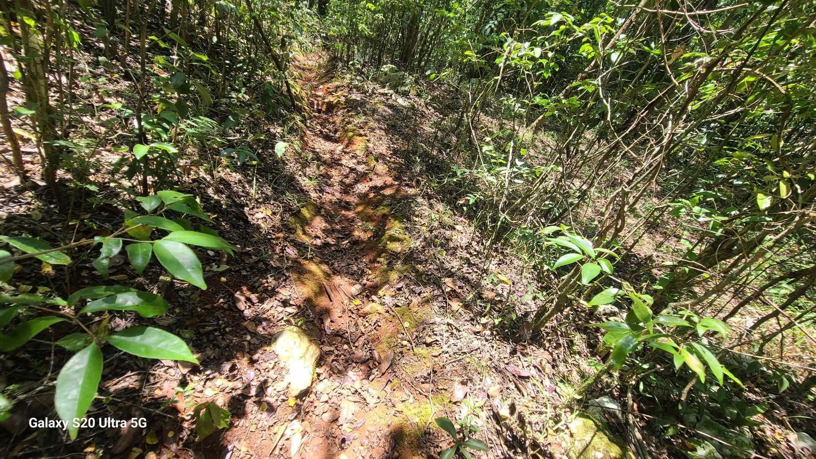 Sixth image of Barry And Lloyds in Guanaboa Vale, St. Catherine, Jamaica - property is For Sale