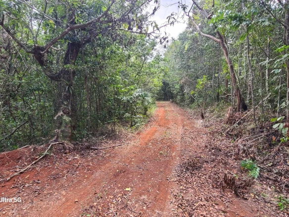 First image of Barry And Lloyds in Guanaboa Vale, St. Catherine, Jamaica - property is For Sale