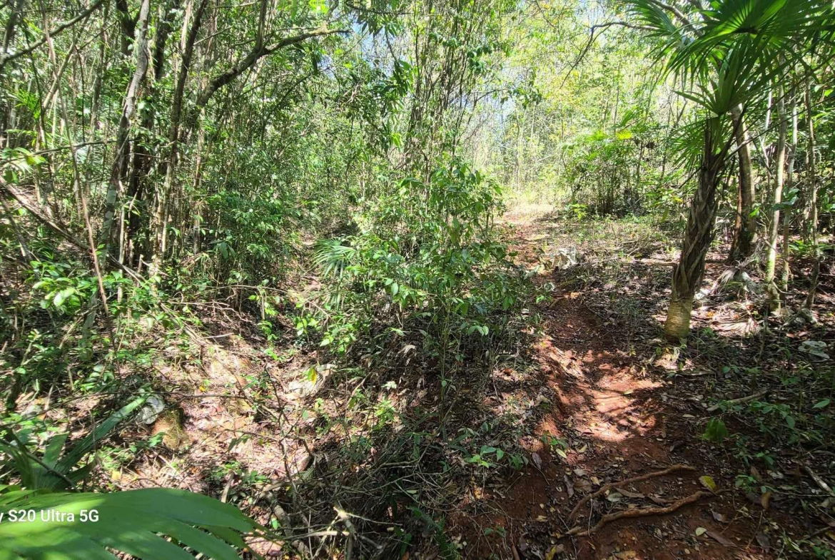 Seventh image of Barry And Lloyds in Guanaboa Vale, St. Catherine, Jamaica - property is For Sale