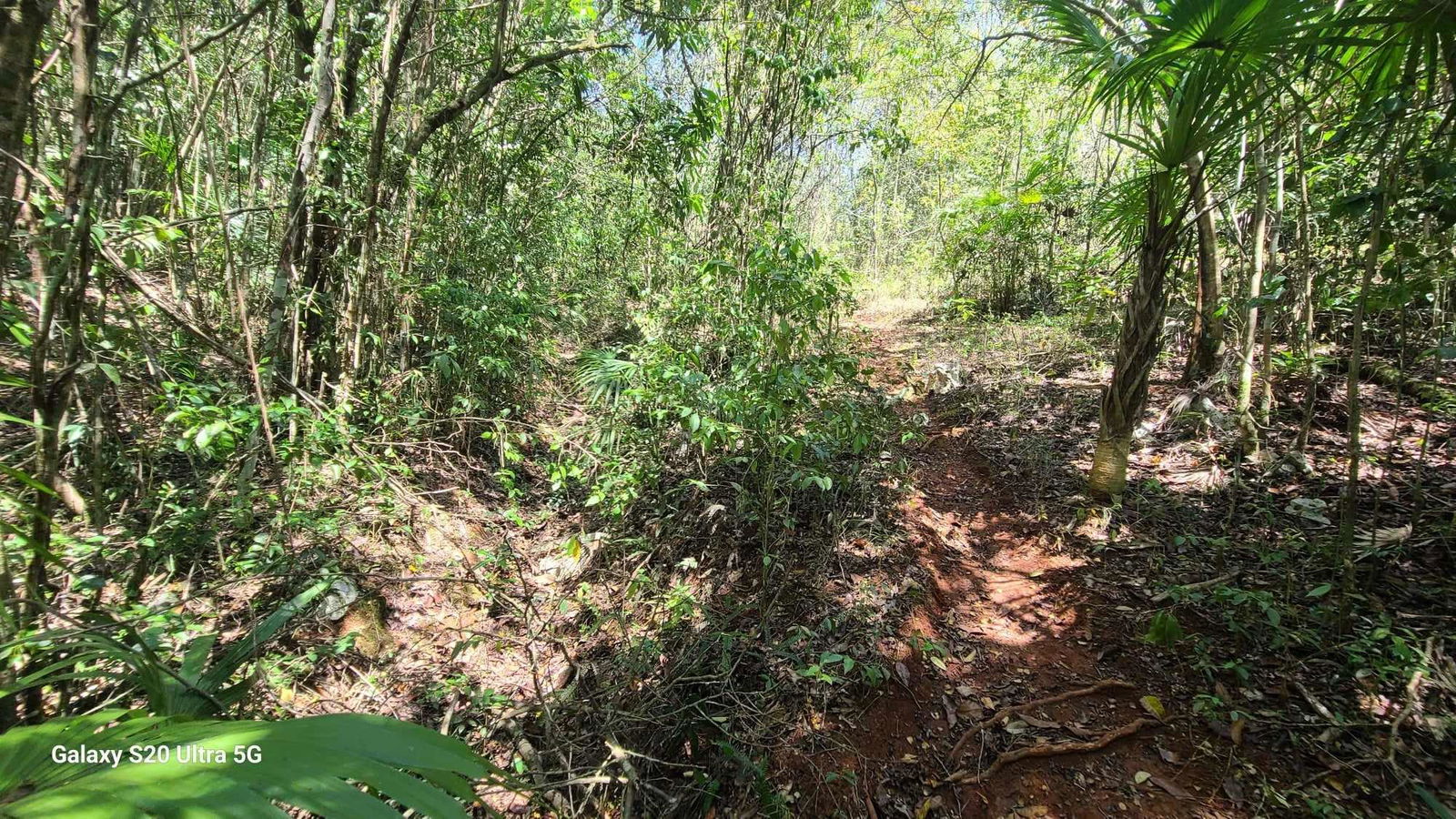 Seventh image of Barry And Lloyds in Guanaboa Vale, St. Catherine, Jamaica - property is For Sale