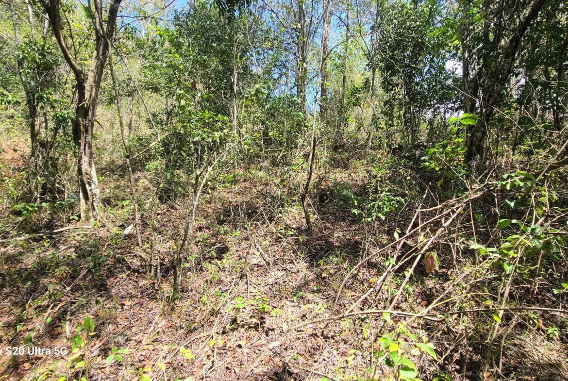 Eighth image of Barry And Lloyds in Guanaboa Vale, St. Catherine, Jamaica - property is For Sale