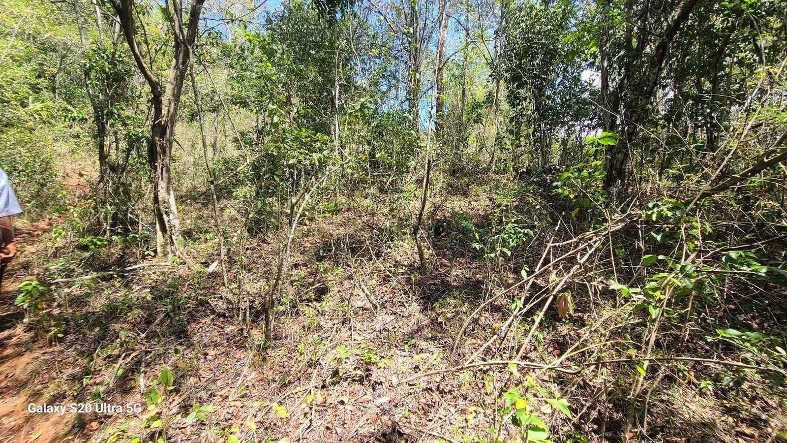 Eighth image of Barry And Lloyds in Guanaboa Vale, St. Catherine, Jamaica - property is For Sale