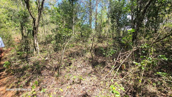 Eighth image of Barry And Lloyds in Guanaboa Vale, St. Catherine, Jamaica - property is For Sale