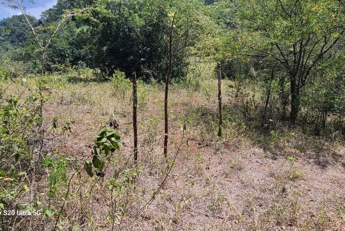 Ninth image of Barry And Lloyds in Guanaboa Vale, St. Catherine, Jamaica - property is For Sale