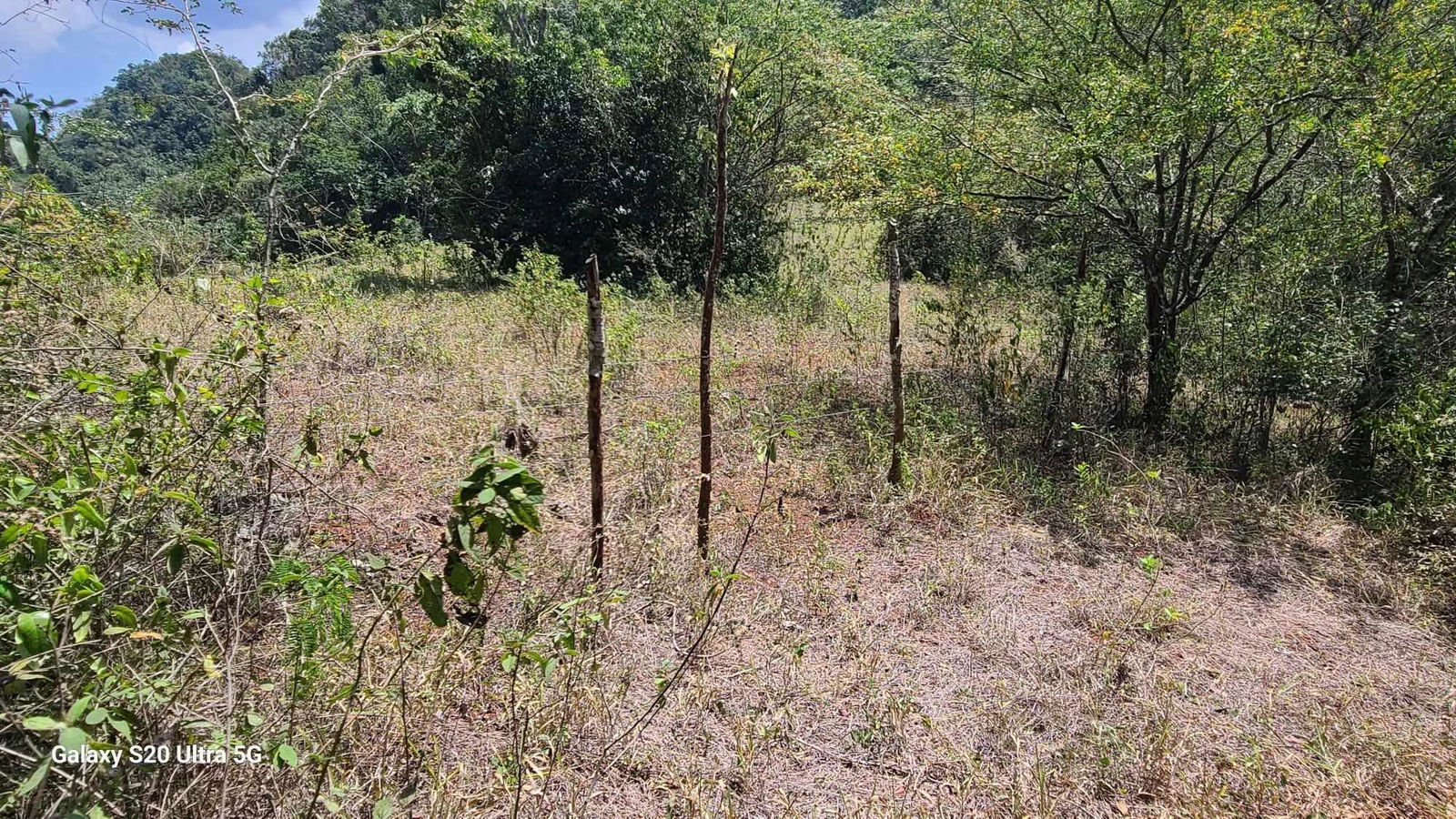 Ninth image of Barry And Lloyds in Guanaboa Vale, St. Catherine, Jamaica - property is For Sale