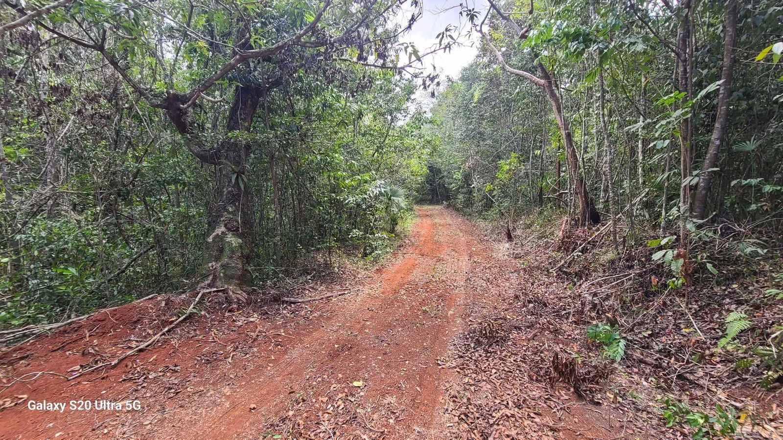 First image of Barry And Lloyds in Guanaboa Vale, St. Catherine, Jamaica - property is For Sale