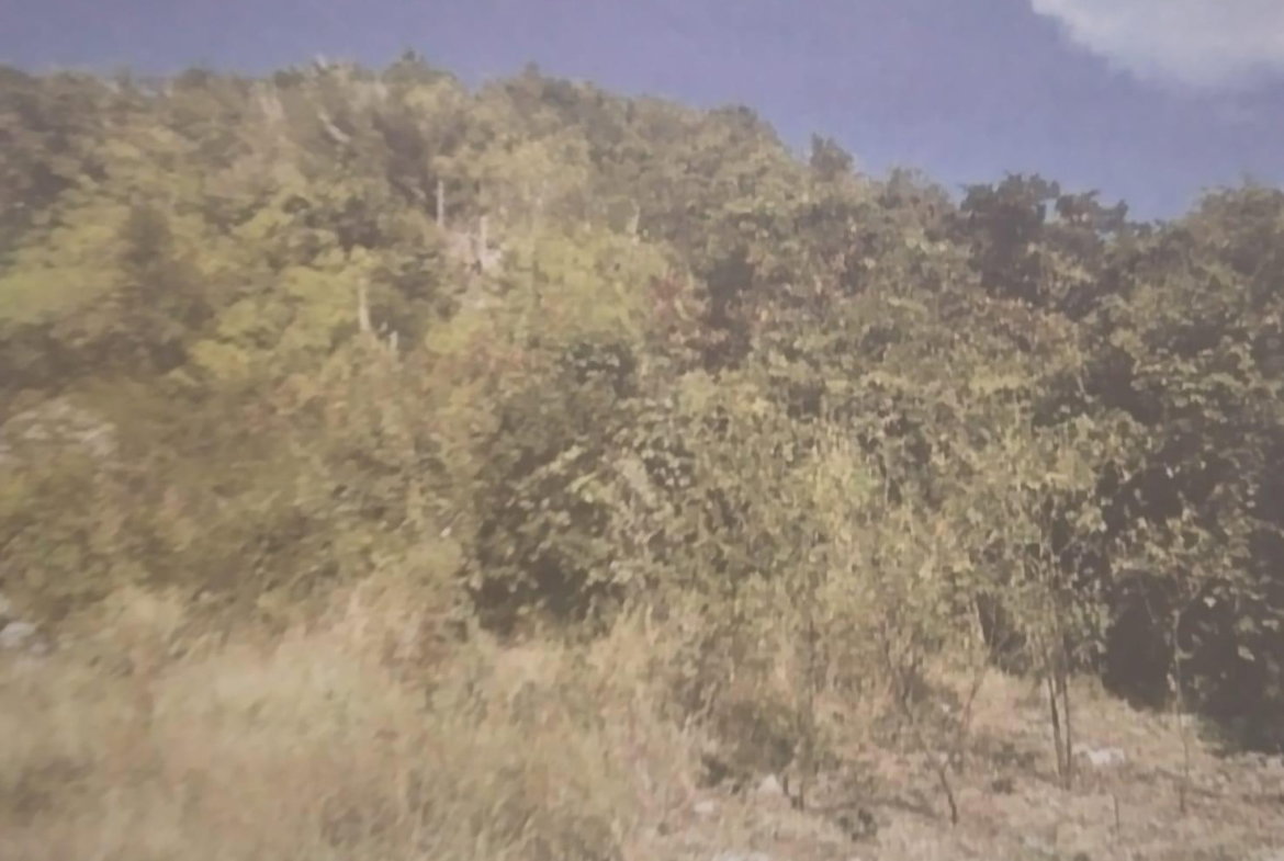 First image of New Forest, Manchester in New Forest, Manchester, Jamaica - property is For Sale