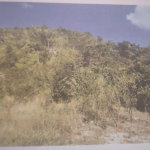 First image of New Forest, Manchester in New Forest, Manchester, Jamaica - property is For Sale