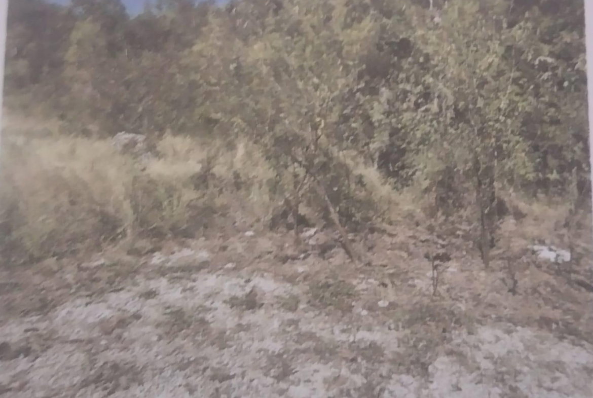 Third image of New Forest, Manchester in New Forest, Manchester, Jamaica - property is For Sale