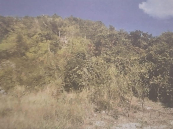 First image of New Forest, Manchester in New Forest, Manchester, Jamaica - property is For Sale