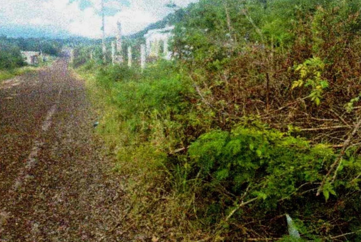 Second image of Lot-38 Emporium, Downs in Downs, Manchester, Jamaica - property is For Sale