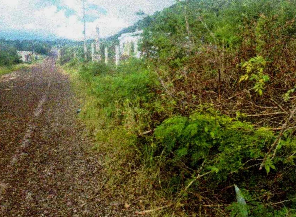 Second image of Lot-38 Emporium, Downs in Downs, Manchester, Jamaica - property is For Sale