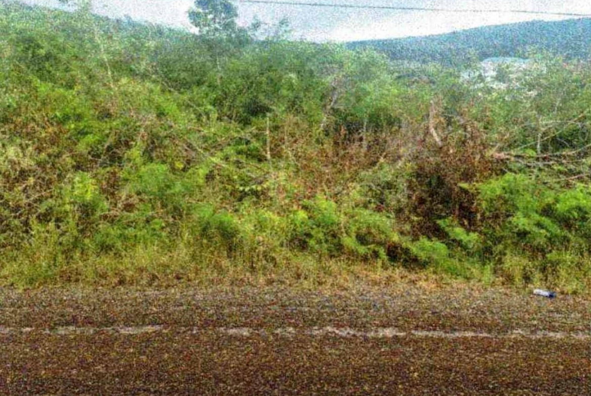Third image of Lot-38 Emporium, Downs in Downs, Manchester, Jamaica - property is For Sale
